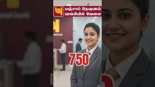 ✅Punjab National Bank Recruitment 2025 ✅Apply Link ➡️  #tamilnadugovernment