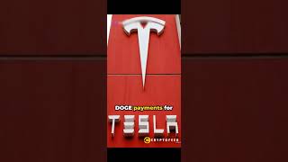 Rising Interest in #dogecoin Driven by @xpayments Activity and #elonmusk Influence #crypto #memecoin
