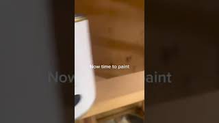 Smooth finish mineral paint with mint by michelle burl walnut