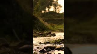 Nature  Love ||Nature's Shorts || Spring