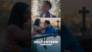 Self Esteem #shorts #selfesteem #newmusicvideo #lambo4oe