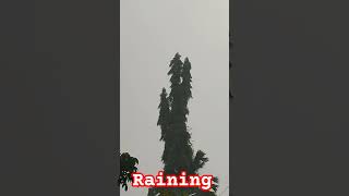 relaxing sound #soundofrain #short #shorts #asmr #rain #relaxing