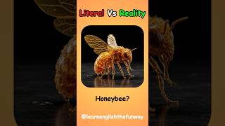 When English Compound Words Don’t Mean What They Say | 032