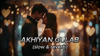 Akhiyaan Gulaab (Slowed + Reverb) | 8D music 2024 Mitraz | Teri Baaton Mein Aisa Uljha | Lofi lovers