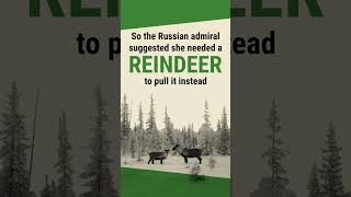 The Strange Tale of a Reindeer on a Submarine #shorts