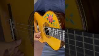 Mariachi Mexico song music guitar desperado