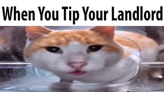 When You Tip Your Landlord