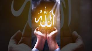 TIN#LOG#AISE#HI#JO#JANNAT#ME#DAKHIL#NHI#HONGE#