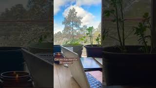 Silent Study Challenge - Can You Stay Focused for 30 Seconds of Ambient Work?