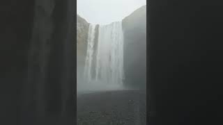 Skógafoss Waterfall #iceland #waterfall #shorts