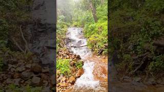 #nature #waterfall #kasaragod #travel #trendingreels #purewater #kerala #music #bgm #tranquility