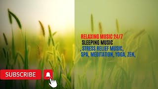 fearless devil soul presents music relieve stress and anxiety,yoga and stress relief.