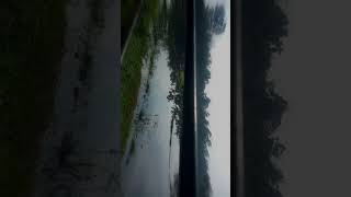 Tum kyu chale Aate ho Whatsapp status video 💓💓 #shorts #nature