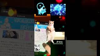 広告ブロックがヤバすぎる