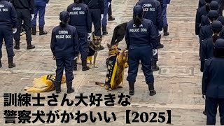 訓練士さん大好きな警察犬がかわいい【2025】