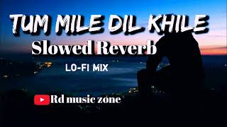 Tu mile Dil Khile || lofi song || [Slowed+Reverb] #Rdmusiczone #arijitsingh #Lofistatus  #lofisong