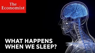 眠ると何が起こるのでしょうか?