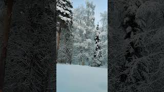 #freetousemusic #backgroundmusicforlivestreaming #youtubeshorts #europeantravel #winterspecial