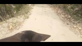 hidden village  beauty