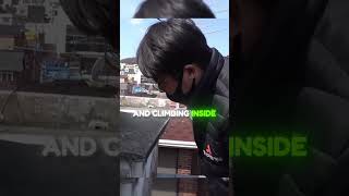 The Kitten Trapped In A Chimney ❤️‍🩹😟😧 #animalrescue #kittenrescue #animalcare