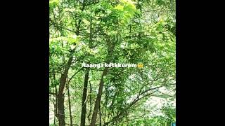Singles Prayer 🙏🦚@011edit_z❤️ Support My Channel and subscribe 👍#singlewhatsappstatuslyrics #song