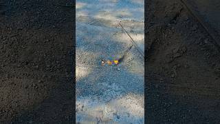 #music #remix #phonkmusic 🦁🐅🦅