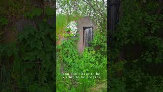 When You Need a Quiet Place Just to Be #authenticliving #healingjourney #motivation