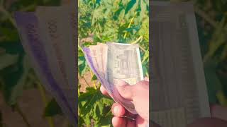 पैसा है मेरे yaar.... #Contact #Centre today!#SBI #ContactCentre #DeshKaFan #TheBankerToEveryIndian