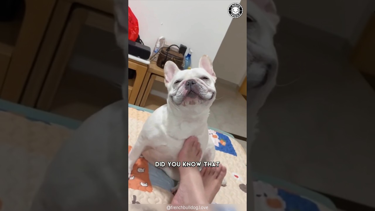 サムネ