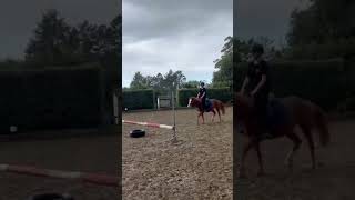 Raw jumping fail🙈 #horse #equestrian #massivefail