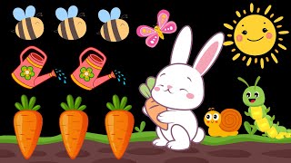 Spring Garden Fun! Baby Sensory with High Contrast and Visual Stimulation