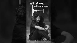 তুমি নেই বলে বৃষ্টি হারায় রেখা।  #banglagaan #music #banglapop #song #banglamusic #bongotune #sad