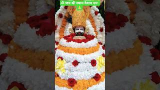 ॐ जय श्री खाटू श्याम धाम.....♥️🌿🙏#zarooratrishta #jaidmeel #tawafekaba #truedialogue #misspanghal🏵️🙏