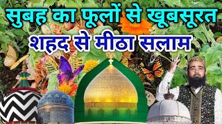 Apna Maheboob jise Kahe Mustafa Wo Ali Sher e Khuda 🌟 Mustafa ﷺ Jane Rehmat Salam 🌟 Episode 247