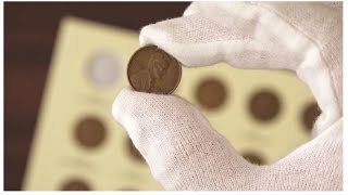 How to use a coin album and folder – Littleton Coin Company