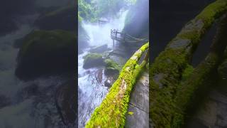 “Mystic Trails – Where Water Meets Whispering Woods” #NatureWhispers #SereneScenes