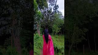 #আমারদিনগুলোসবযায়হারিয়েআধারে #nancysong #newsong #nancy #habibwahidnewsong #banglasong #amard