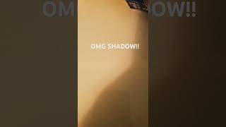 Look at shadow's new skateboard... #shadowthehedgehog #shadow #skateboard