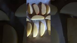 One Ingredient Frozen Apple Treats #diydogfood #diydogtreats #healthydogfood #healthydogtreats