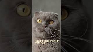 "Relatable Memes That’ll Make You Say SAME! 🤣🔥"#memes  #relatable #trending #comedy#youtubeshorts