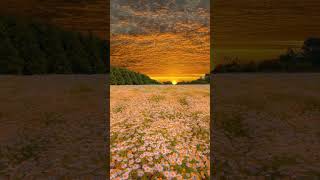 the sun     Are you ready to explore paradise        lofipassion  My Pages  place aesthetics