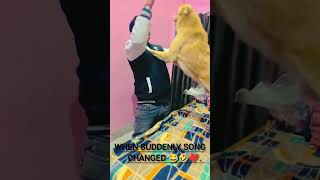 when suddenly song changed 😂 #dogandfamily #song #comedy #shorts #dogcomedy #youtubeshorts #viral