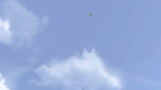 Purple plays Bowser s’fury gameplay video 47