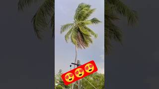 jeene laga hun #reels #reelvideo #instagram #statusreels #reelsinstagram #reelsindia