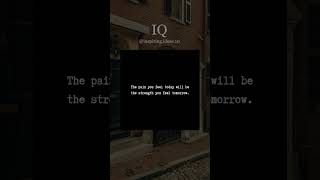 Powerful Motivational Quotes 47
