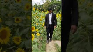 Sunflower Garden at 8no. Soyani Tobga,  Noakhali