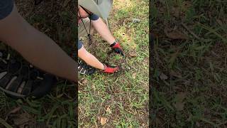 Luck of the Irish! #metaldetecting #metaldetector #pulltabs