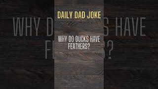 why do ducks have feathers? #funny #dadhumor #dadjokes #hilarious #dadjoke