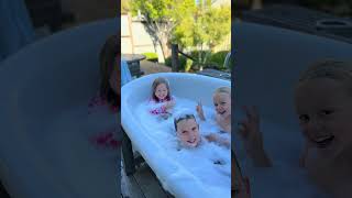 Napa Business Highlight