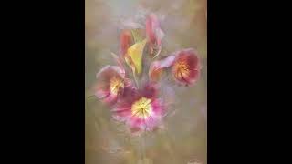Floral Photography Artistry | Michelle Newport Photography #floralphotography  #flowerphotography
